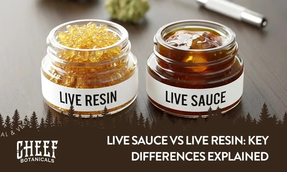 Cheef Botanicals featured image for Live Sauce vs Live Resin bolg. Show a jar of live rosin next to a jar of live sauce