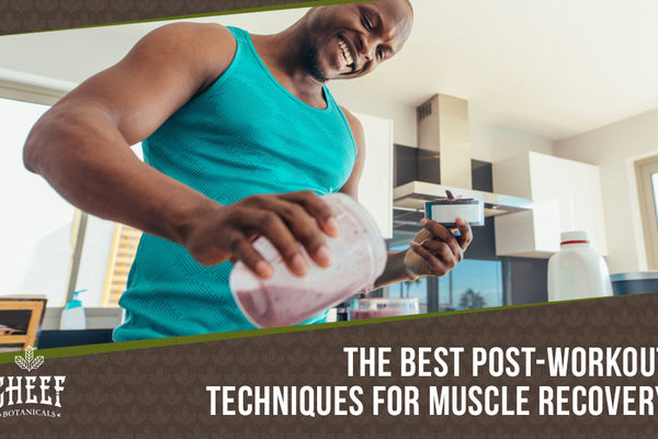 Muscle Recovery: The Secret to Professional Post Workout Regimens