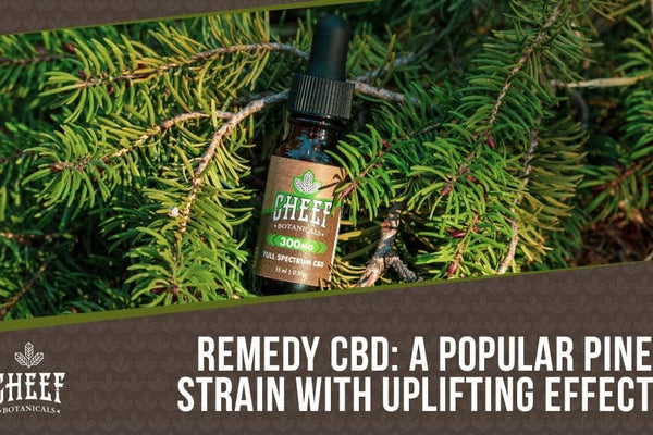 Remedy CBD: Premium Hemp Flower That Provides Deep Relaxation