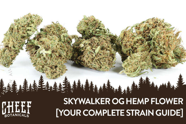 Skywalker OG Hemp Flower [Your Complete Strain Guide]
