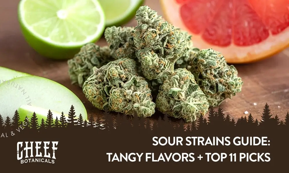 A bunch of cannabis buds with a lime and grapefruit behind it with the title "Sour strains guide". 