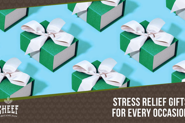 Stress Relief Gifts [Top 12 Relaxing Gifts Everyone Needs in 2021]