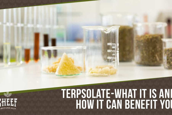 Terpsolate – A Terpene Extract With Lots To Offer!