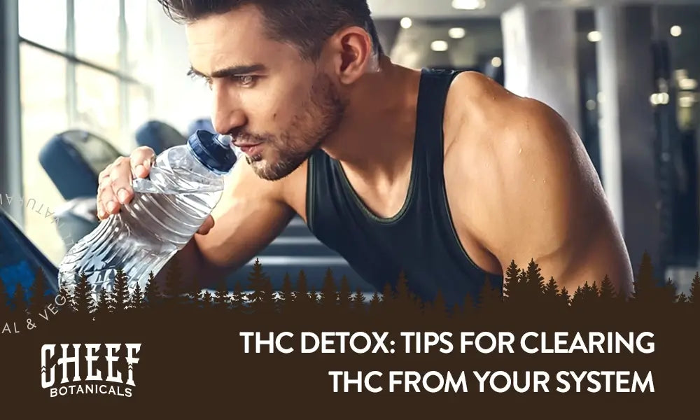 THCa Detox featured blog image by Cheef Botanicals. Shows a man on a treadmill heavily hydrating with water.