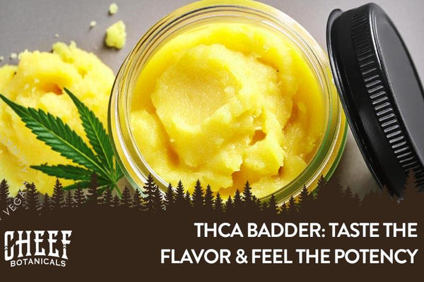 THCa Badder: A Highly Effective Way to Enjoy THCa