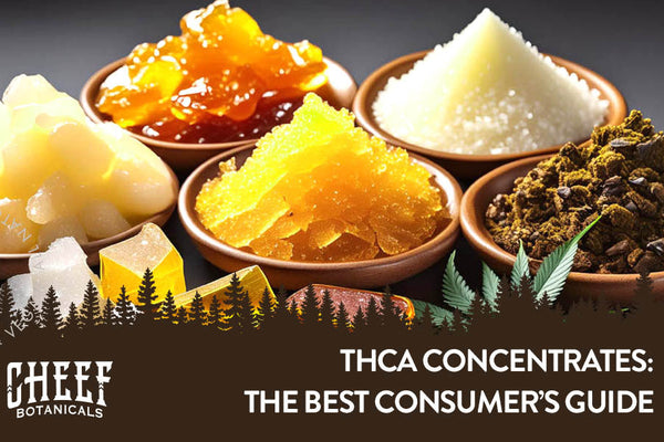 THCa Concentrate: A Potent Way To Dab