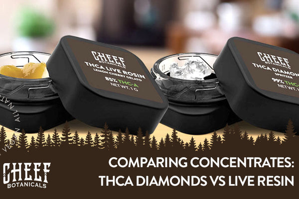 THCa Diamonds vs Live Resin: Clash of the Concentrates