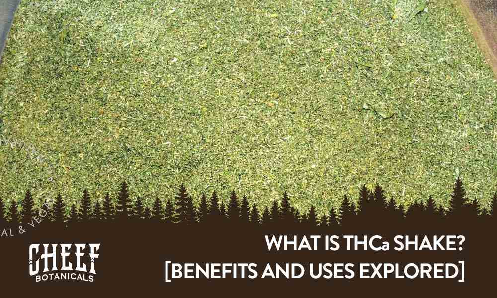 What Is THCa Shake featured blog image by Cheef Botanicals. Show a large pile of cannabis shake.