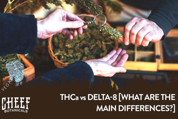THCa vs Delta 8 [What Are The Main Differences?]