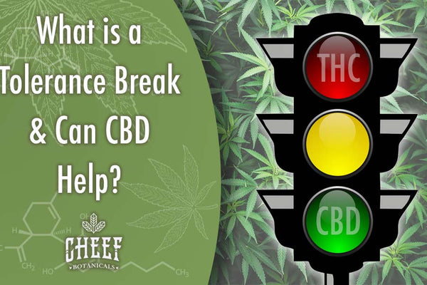 What is a Tolerance Break and Can CBD Help?