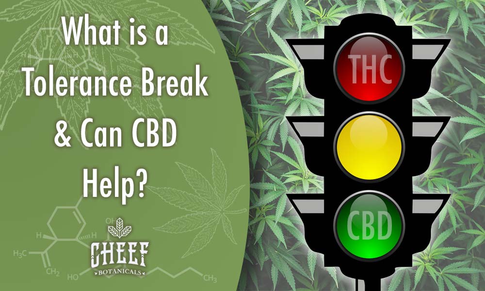 What is a tolerance break featured blog image by Cheef Botanicals. Shows a stop light with THC on the red light and CBD on the green light. Traffic light is surrounded by cannabis leaves.