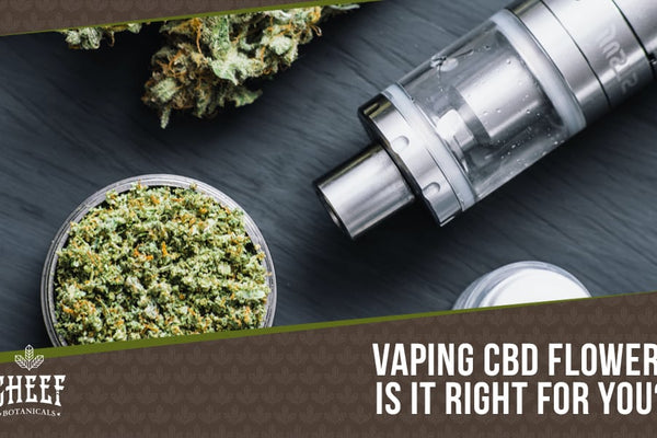 Vaping CBD Flower: Easy Instructions - Best Techniques & Devices Explained