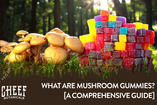 What Are Mushroom Gummies? [A Comprehensive Guide]
