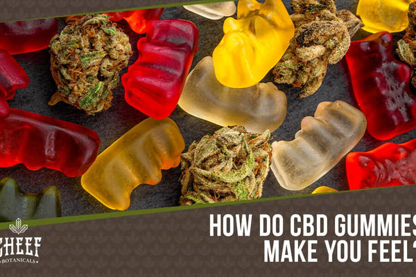 What Do CBD Gummies Feel Like? Don't Try Before Reading This