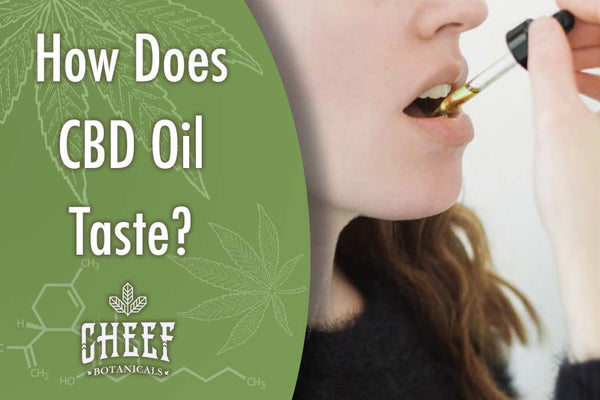What Does CBD Oil Taste Like?