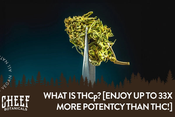What Is THCp & Is It Really 33 Times More Potent Than THC?