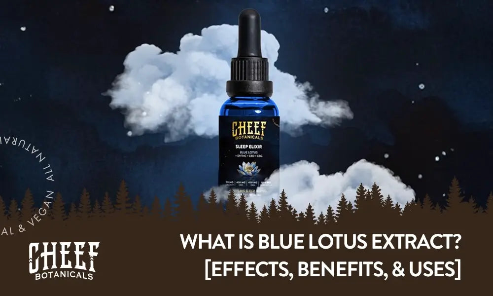 Cheef Botanicals featured image for "What Is Blue Lotus Extract" blog. Shows Cheef Botanicals Blue Lotus Sleep Elixir floating in clouds with starlit background.