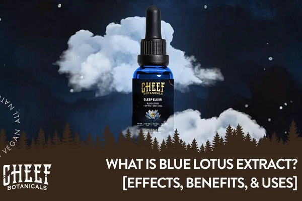 What is Blue Lotus Extract? [Benefits, Effects, & Common Uses]