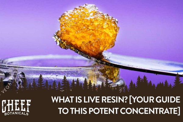 What Is Live Resin? [All About This Potent Cannabis Concentrate]