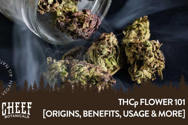 What Is THCp Flower? [Everything You Need to Know]