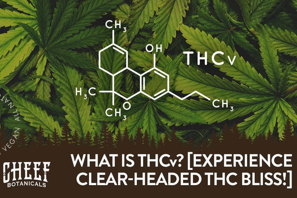 What Is THCv? [Clear-Headed THC Energy Without the Munchies!]
