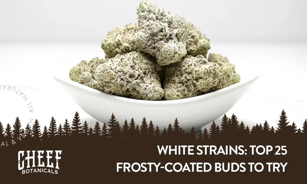 A bunch of white cannabis buds sitting in a white bowl with the title "White strains".