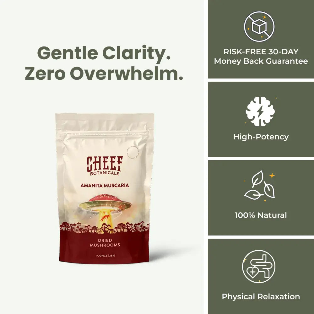 Amanita Muscaria Dried Mushroom Caps