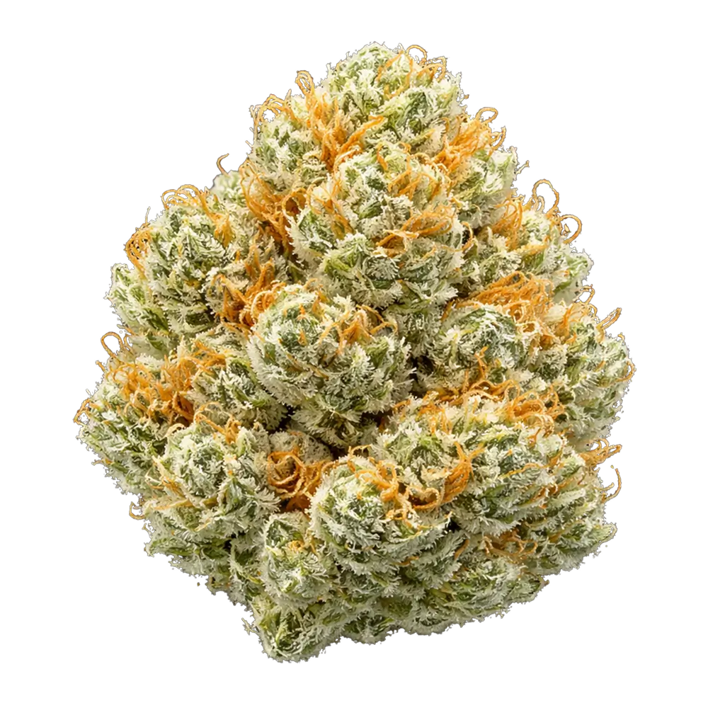 Blue Dream THCa Flower Premium - Flower