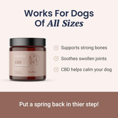 CBD Mobility Chews for Dogs - HolistaPet
