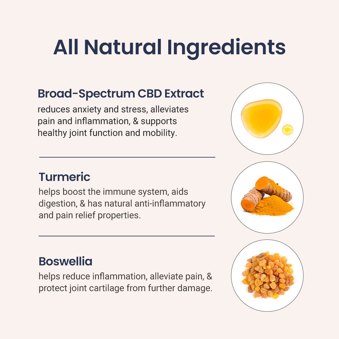 CBD Dog Treats + Joint and Mobility Care - Holistapet