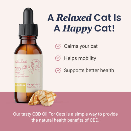 Chicken Flavored CBD Oil for Cats - HolistaPet