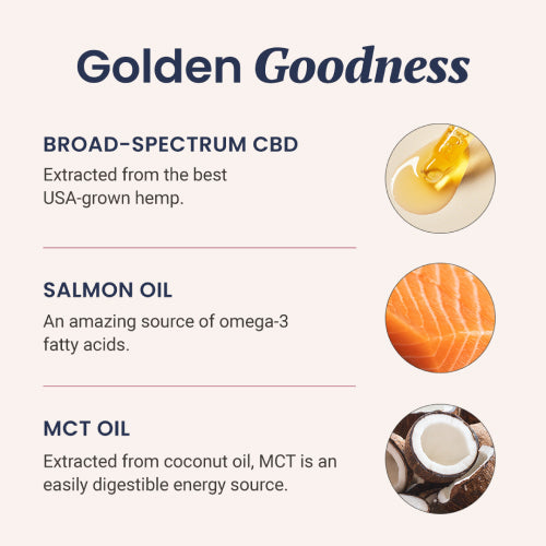 Salmon Flavored CBD Oil For Dogs - HolistaPet