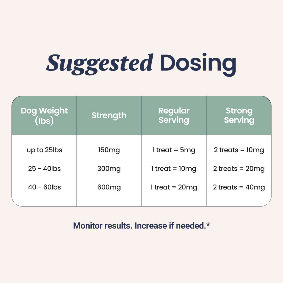 CBD Calming Chews for Dogs - HolistaPet