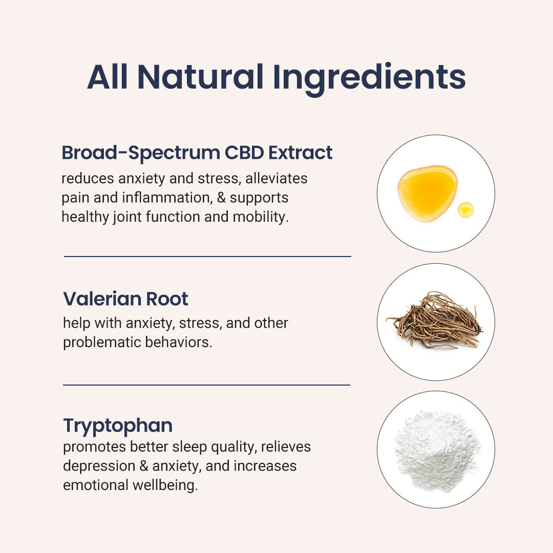 CBD Cat Treats - Holistapet