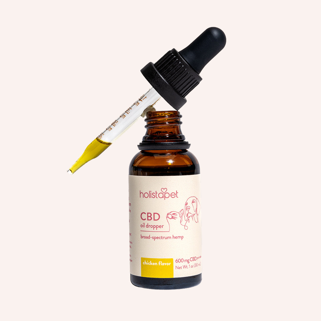 Chicken Flavored CBD Oil For Dogs - Holistapet