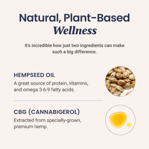 CBG Oil for Dogs and Cats - HolistaPet