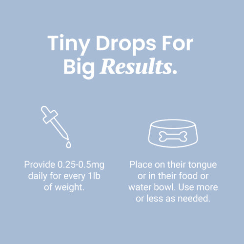 CBG Oil for Dogs and Cats - HolistaPet