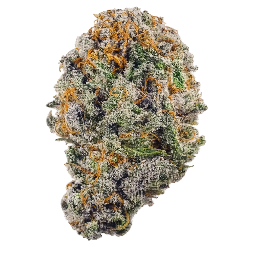 Moroccan THCa Flower Premium - Flower