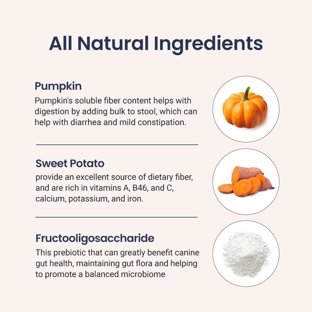 Probiotics For Dogs [Soft Chews] - Holistapet