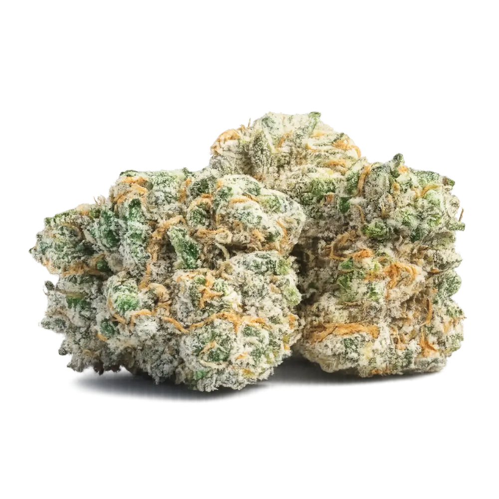 Purple Pomegranate THCa Flower Premium - Flower