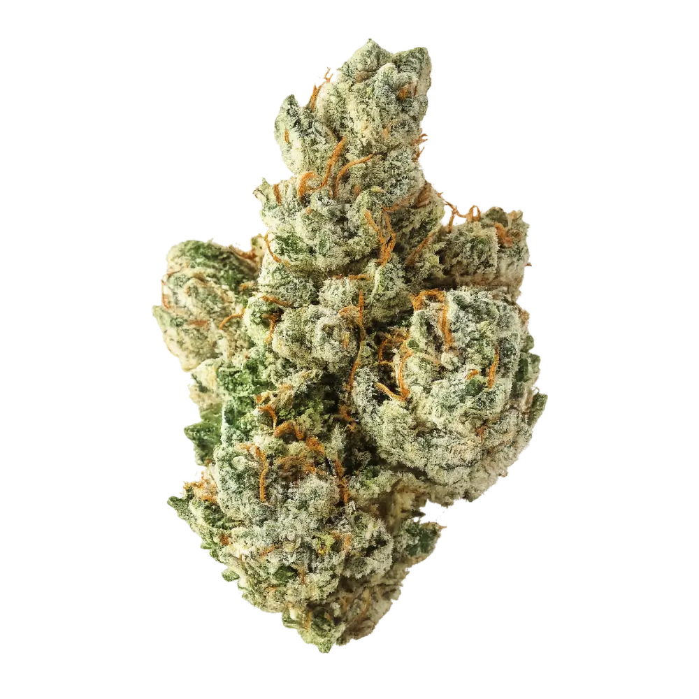 San Fernando Valley OG THCa Flower Premium - Flower