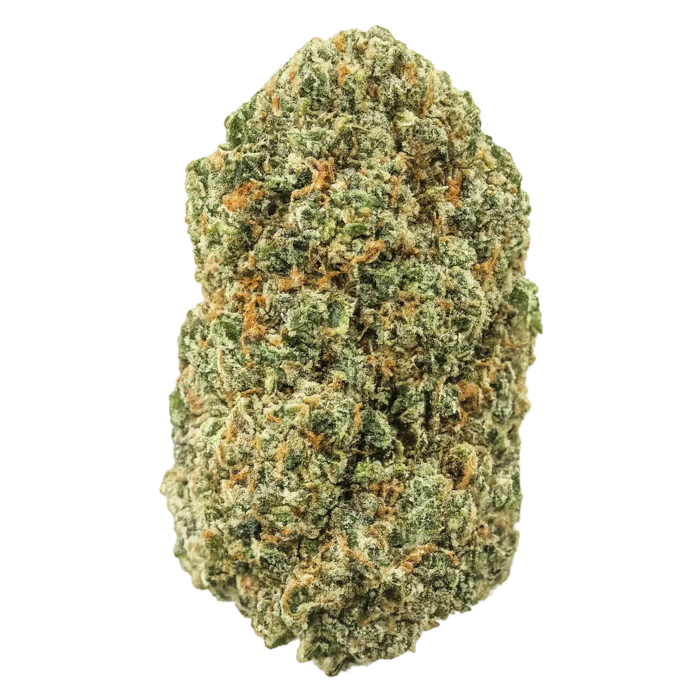 White Fire OG THCa Flower Premium - Flower