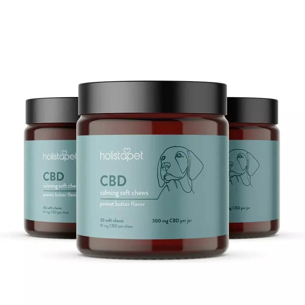 CBD Calming Chews for Dogs - HolistaPet