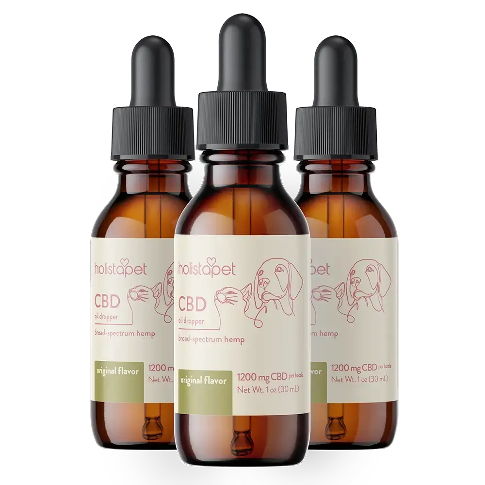 CBD Oil for Cats - HolistaPet