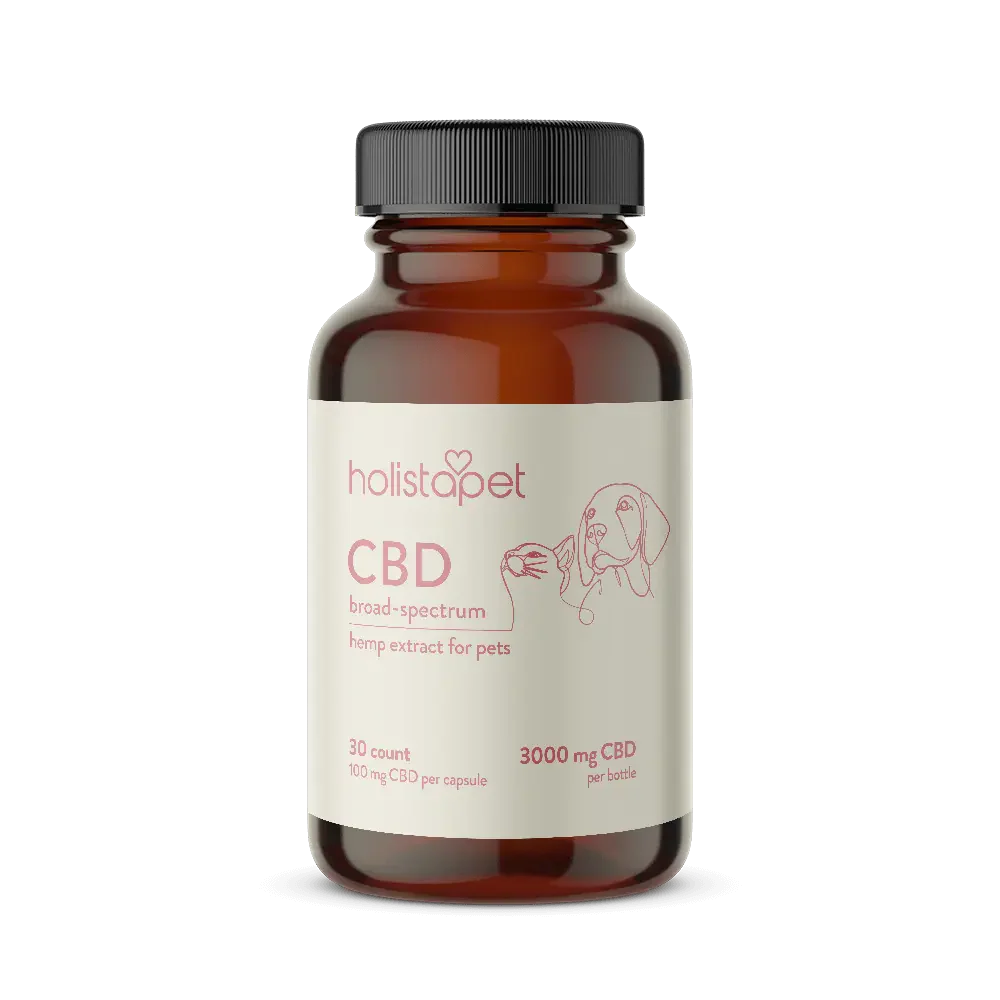 CBD Capsules for Dogs and Cats - HolistaPet