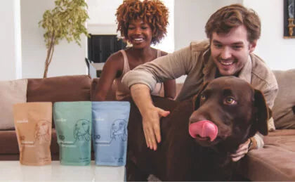 CBD Wellness Dog Treats - HolistaPet