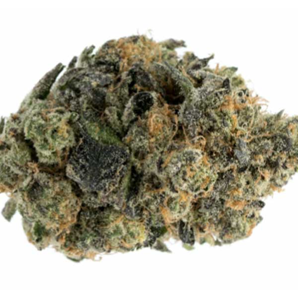 girl scout cookies nug up close