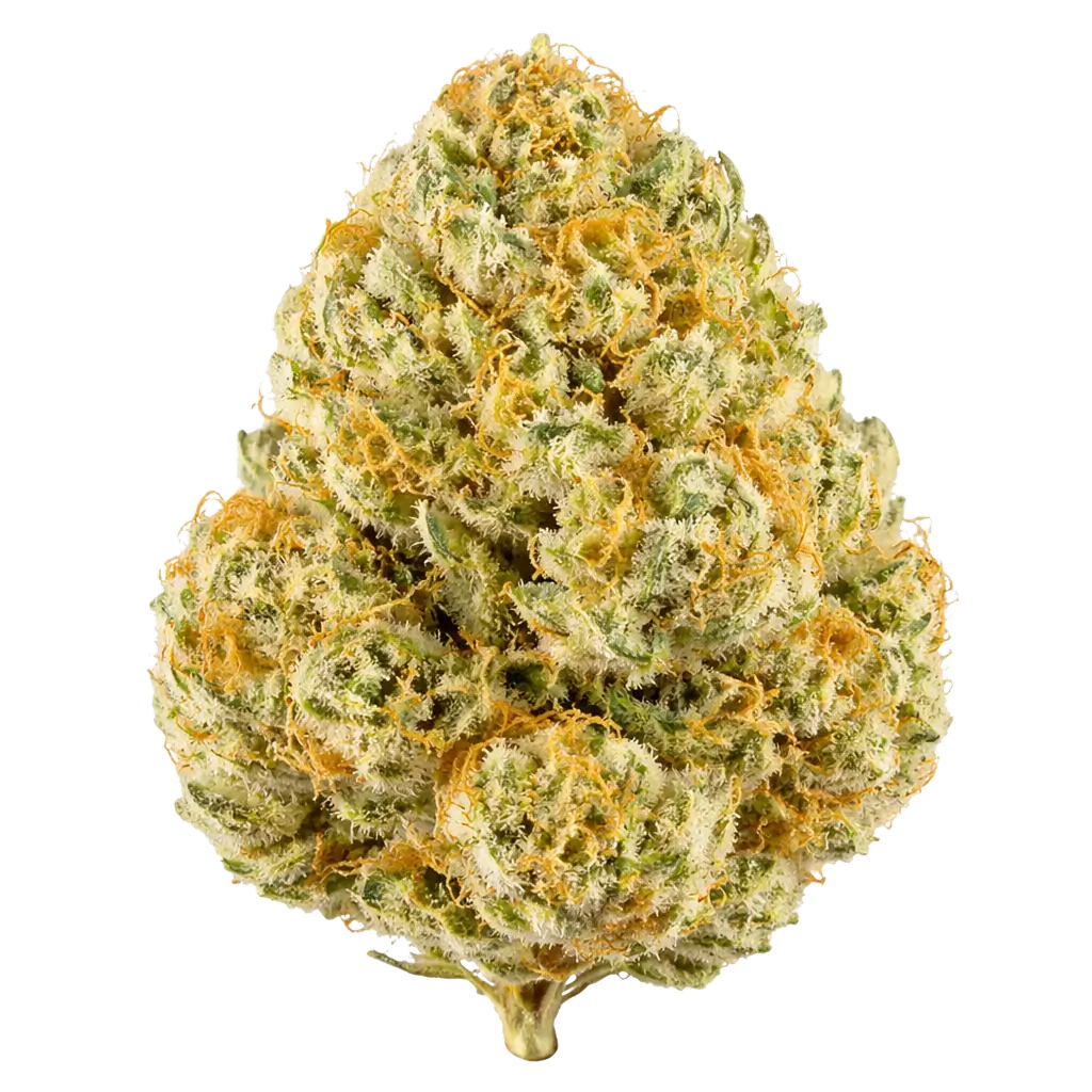 Jack Herer THCa Flower - Flower