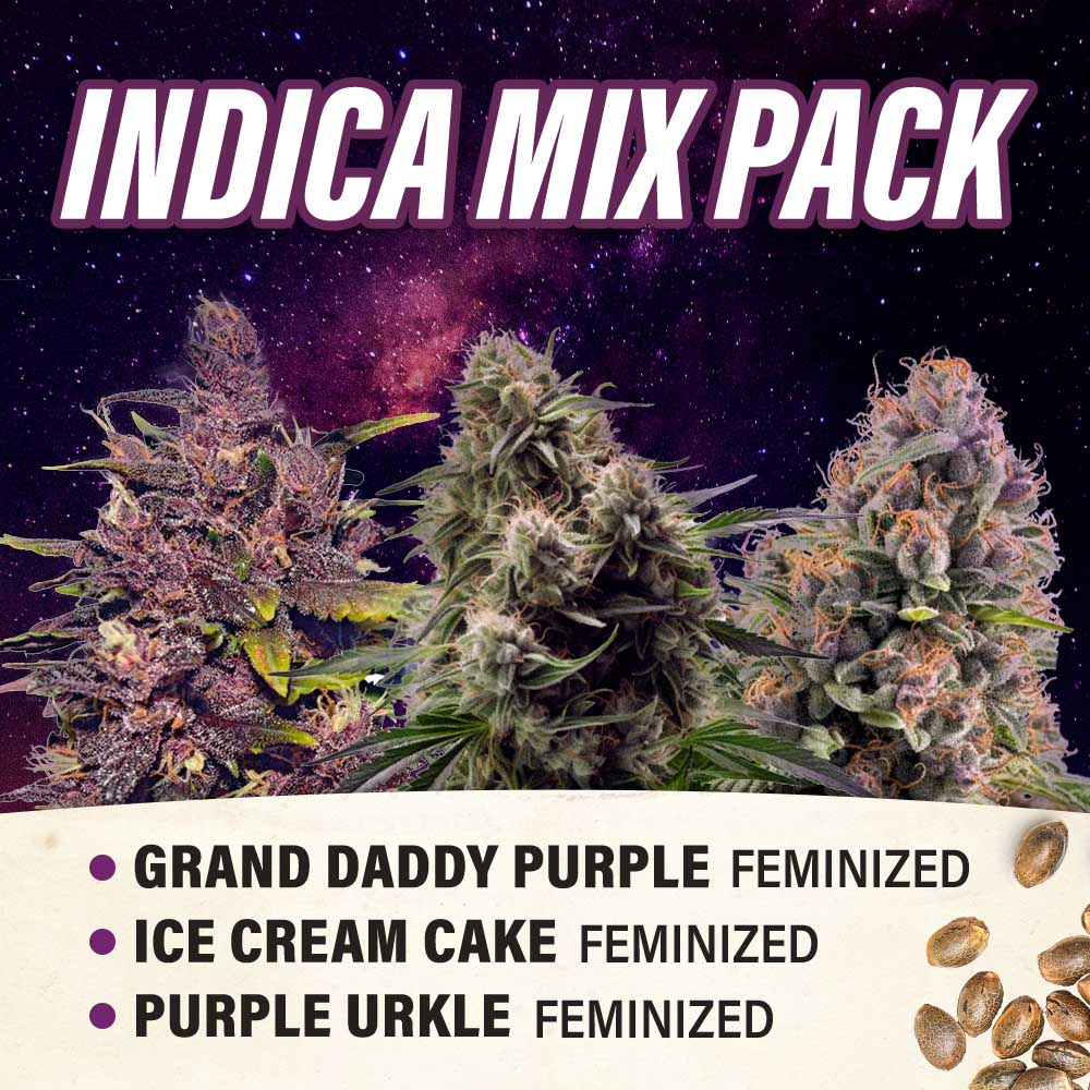 Indica Mix Pack Feminized