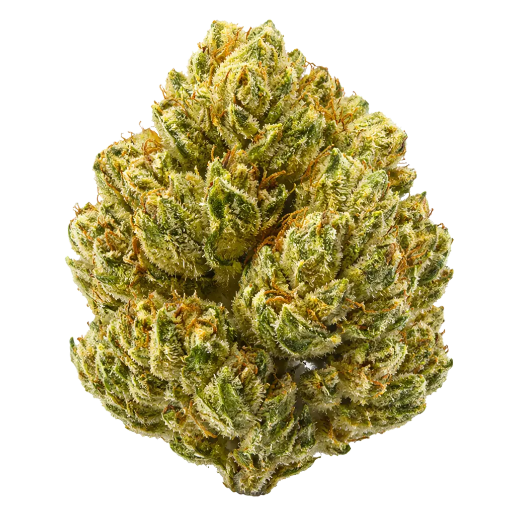 OG Kush THCa Flower - Flower